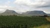 Bei Harrismith