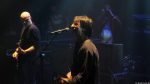 Chameleons Vox