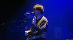 Chameleons Vox
