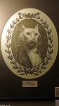 Im Katzen-Kabinett