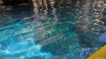 An der Blue Grotto