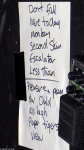 Setlist Chameleons Vox