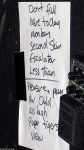 Setlist Chameleons Vox