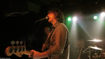 Chameleons Vox