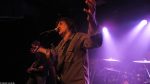 Chameleons Vox