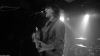 Chameleons Vox