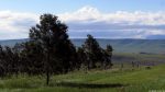 Blick vom Nelson Mandela Museum, Qunu