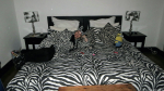 Zebra Room im Impangele, Swellendam