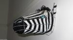 Zebra Room im Impangele, Swellendam