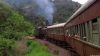 Umgeni Steam Railway