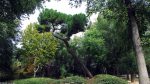 In den Jardines del Campo del Moro