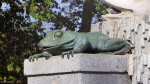 Brunnen-Frosch