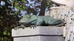 Brunnen-Frosch
