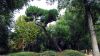 In den Jardines del Campo del Moro