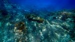Unter Wasser in Ghar Lapsi