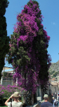In Taormina