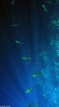 Unter Wasser am Blue Hole