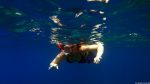 Unter Wasser in Paradise Bay
