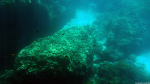 Unter Wasser in Paradise Bay