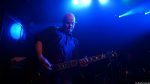 Chameleons Vox