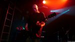 Chameleons Vox