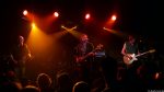 Chameleons Vox