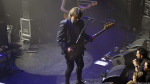 Chameleons Vox