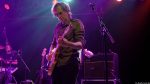 Chameleons Vox