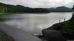 Hennesee