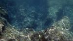 Schnorcheln am Blue Hole / Gozo