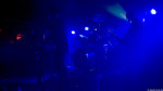 Golden Apes