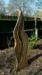 Sensory Garden / Abbey Park