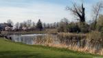 Abbey Park