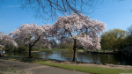 Abbey Park
