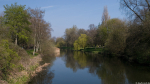 Abbey Park