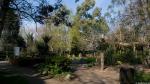 Sensory Garden / Abbey Park