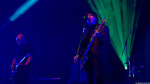 Chameleons Vox