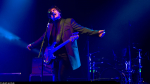 Chameleons Vox