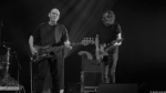 Chameleons Vox