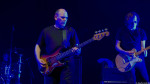 Chameleons Vox