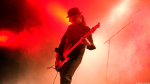 The Bellwether Syndicate