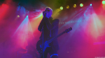 The Bellwether Syndicate