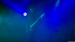 The Bellwether Syndicate
