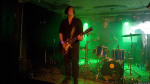 Golden Apes
