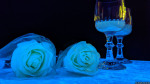 Absinth im KON71