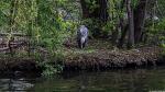 Volkspark Friedrichshain