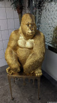 Golden Ape(s)?