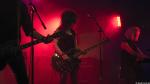 The Bellwether Syndicate