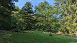 Im Bergpark