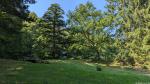 Im Bergpark